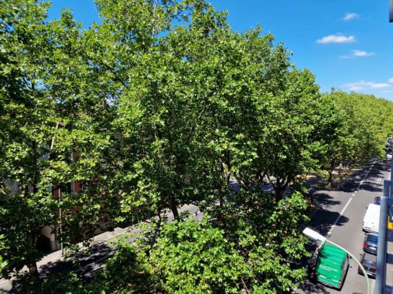 17 Blick Balkon WEST_