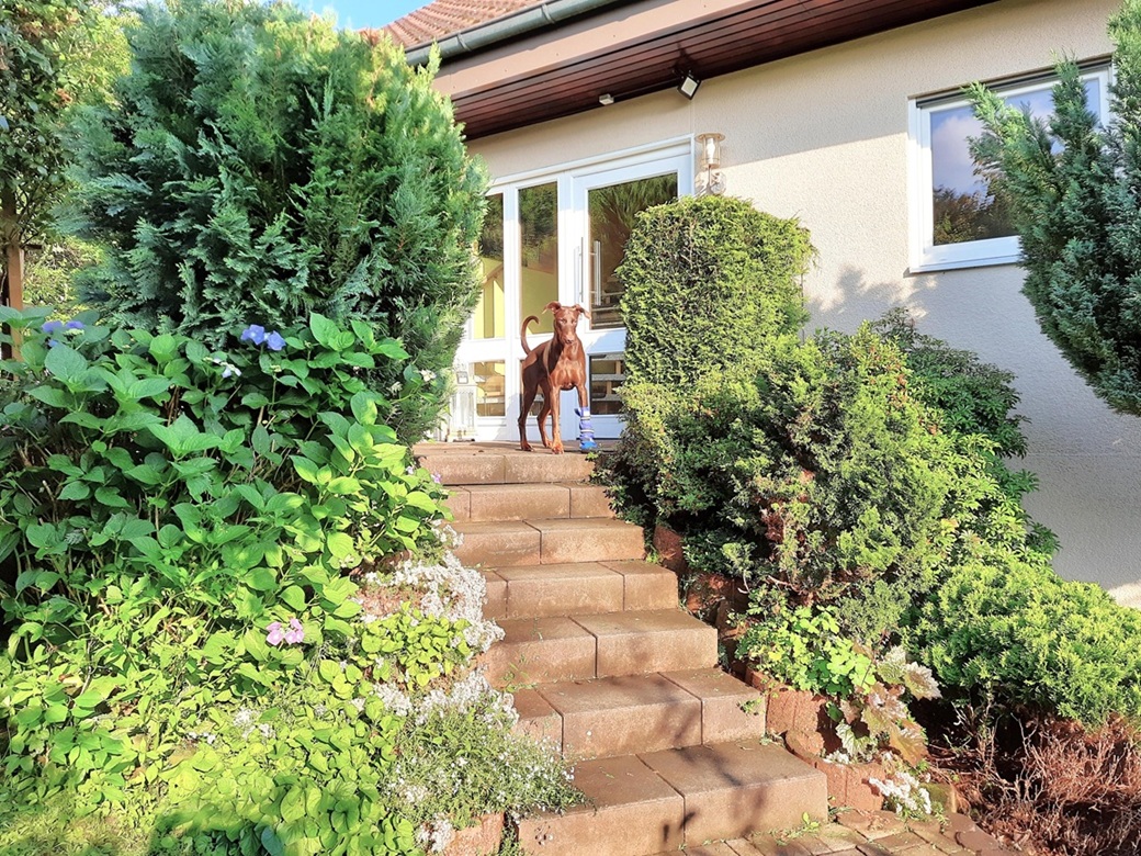Haus kaufen in Leidersbach