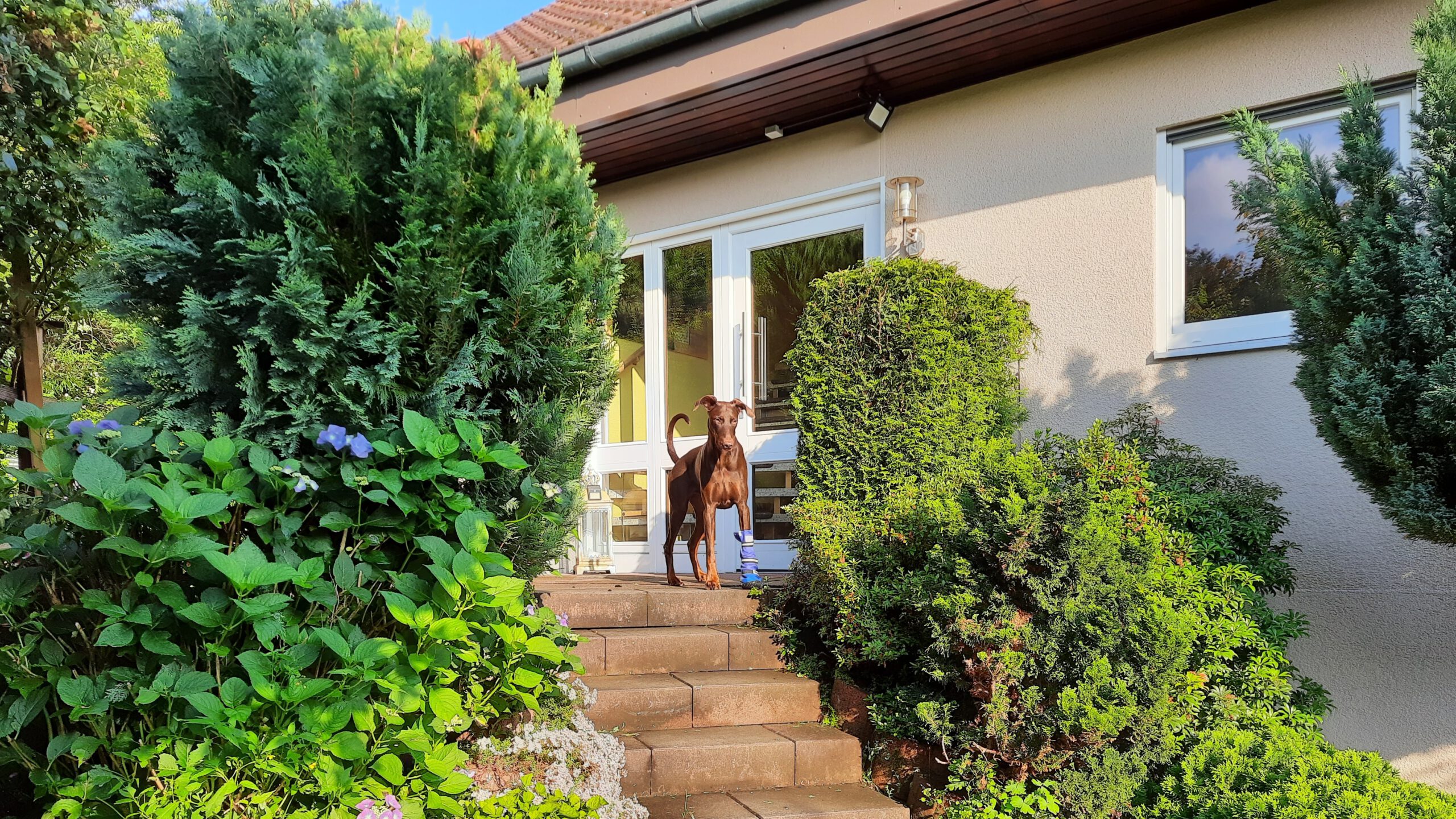 Haus kaufen in Leidersbach